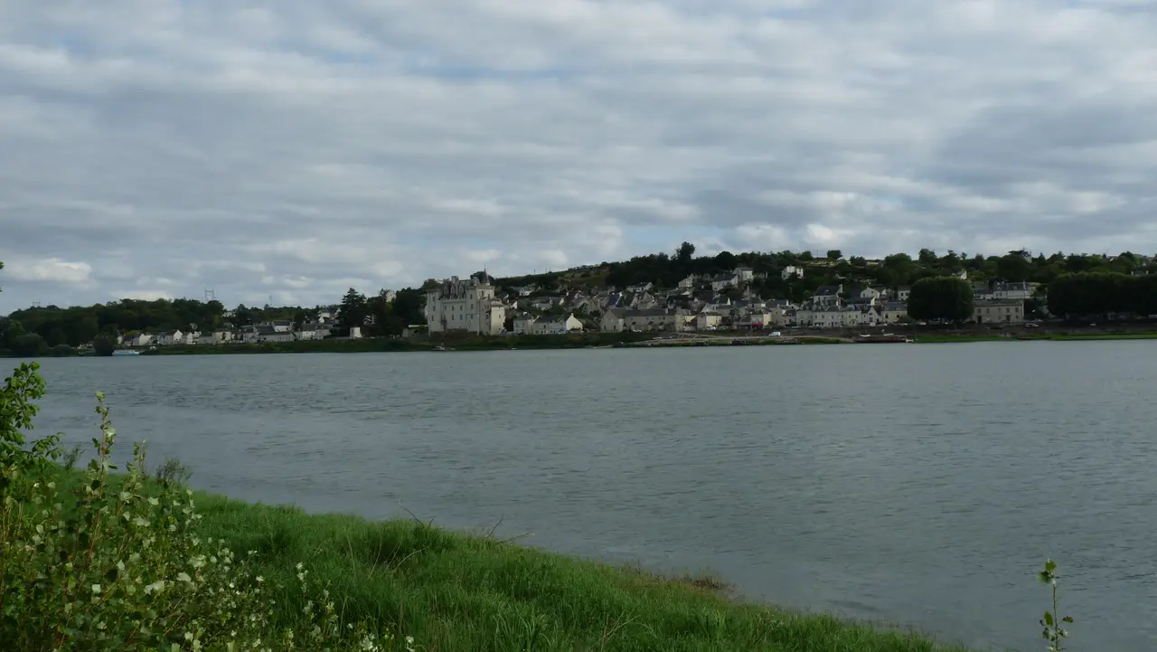 Montsoreau (50) Le village vu depuis le Port de Varennes-sur-Loire