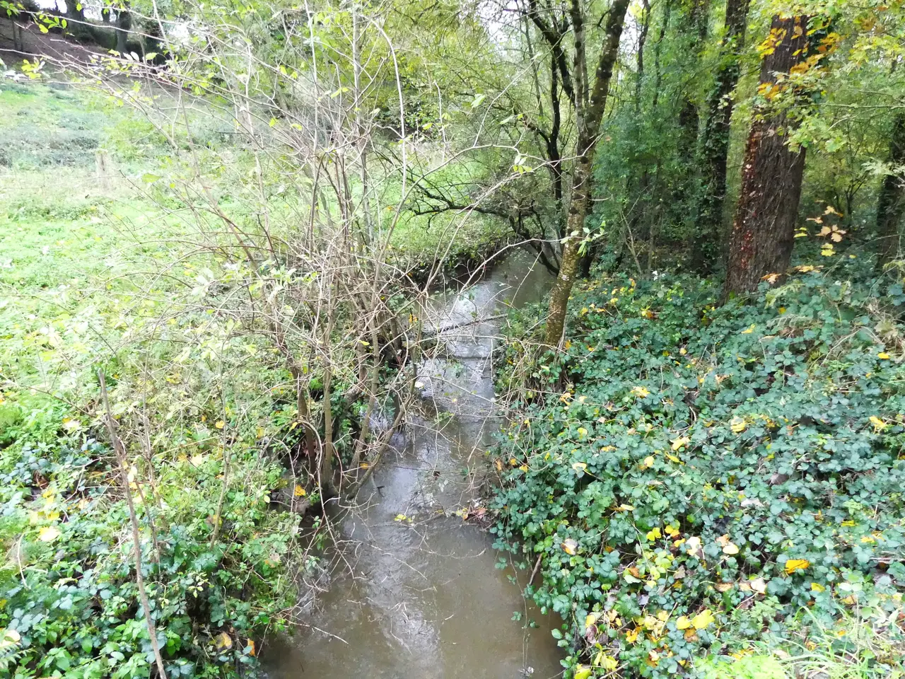 Boëre route de Venansault amont