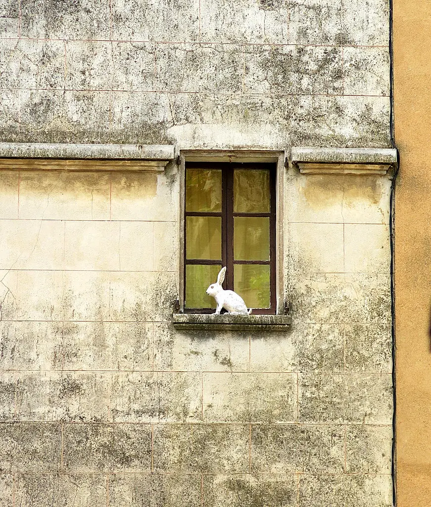 White Rabbit, Aups, Var, Provence, France
