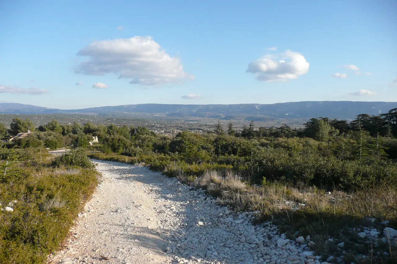 File:Vue depuis les Cèdres (près de Cabrières d'Avignon).JPG