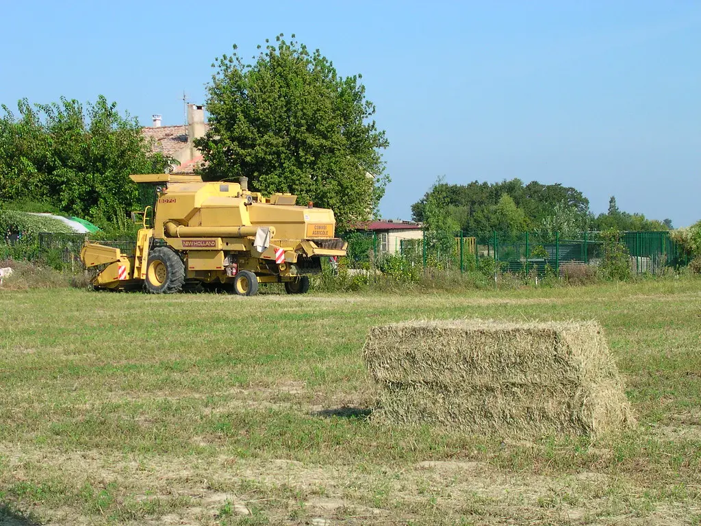 agriculture (CADEROUSSE,FR84)