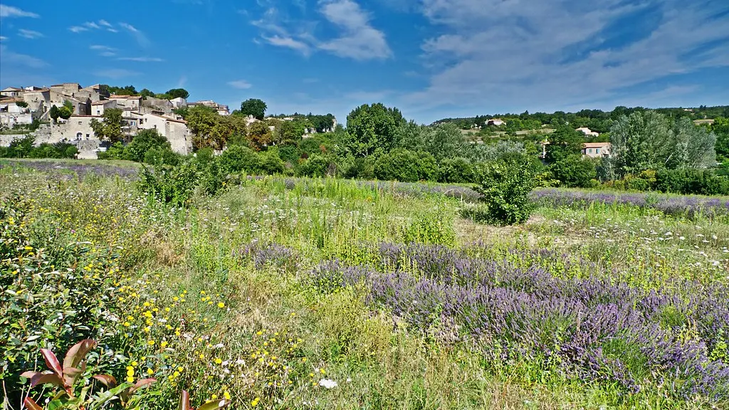 Céreste en Luberon