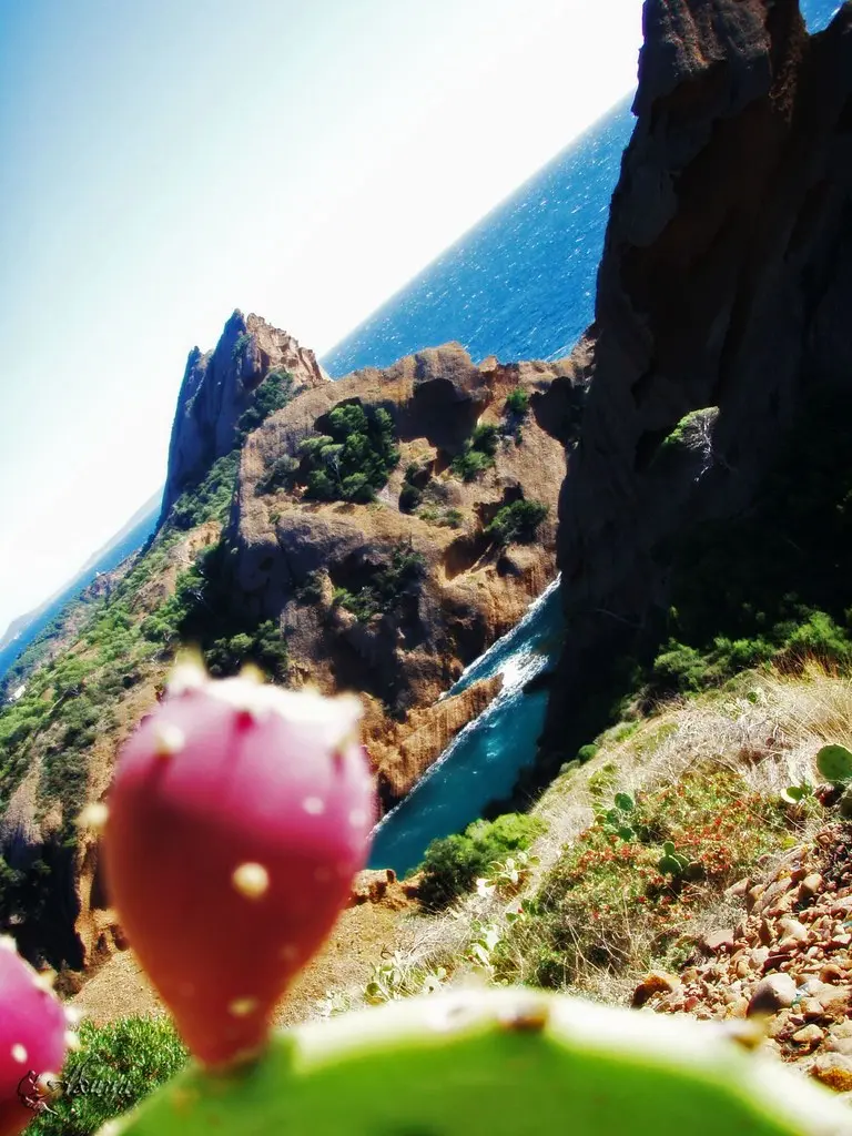 Tour ceyreste cassis la ciotat (56)