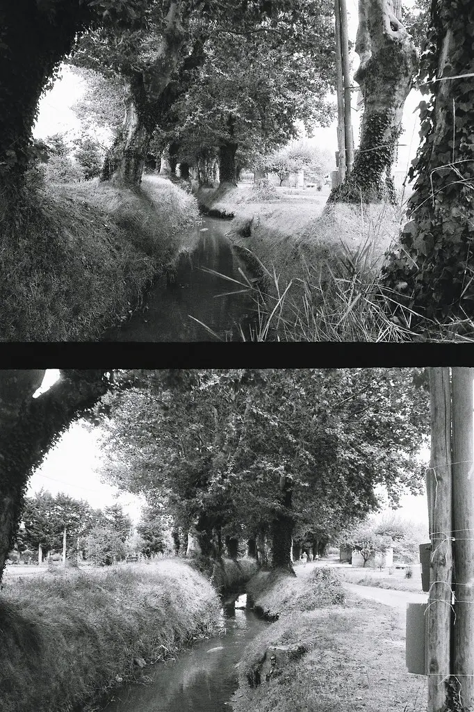 Chaika 3 FP4 Brook at Eyragues Diptych