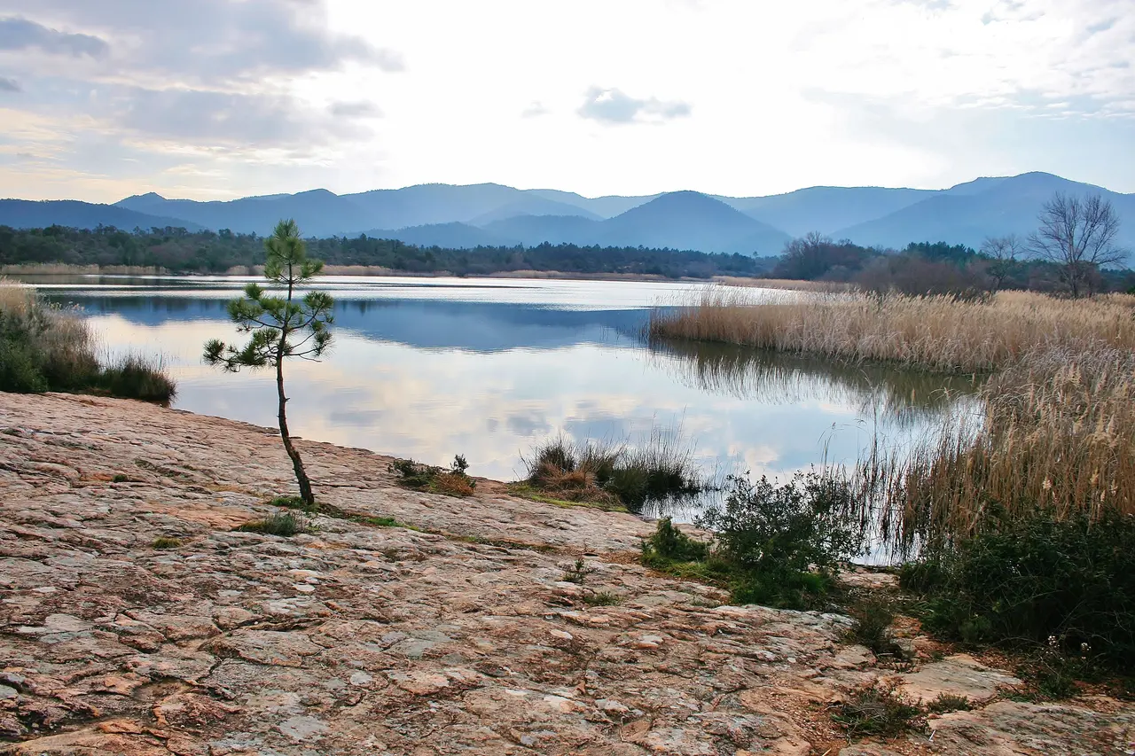 Le Cannet-des-Maures. Lac des Escarcets