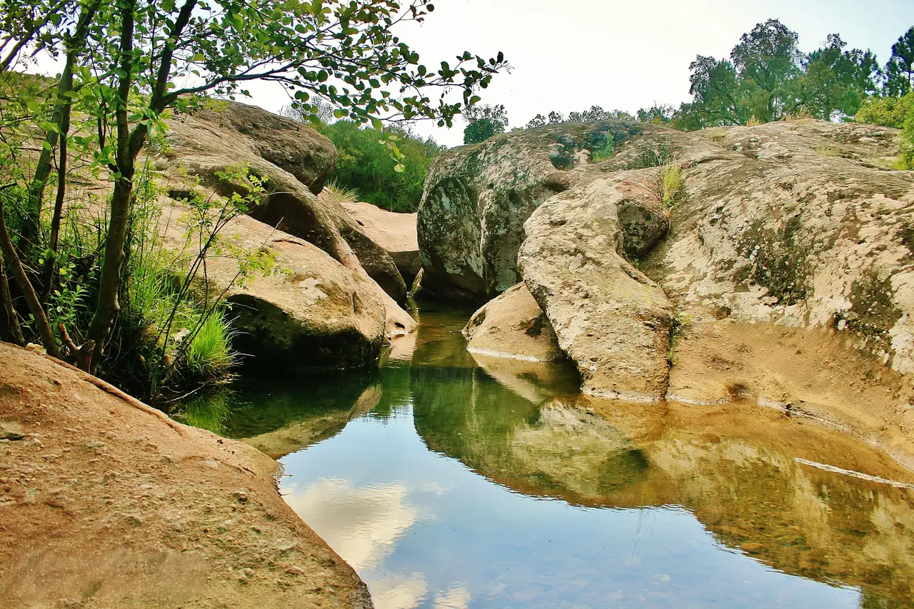 Le Cannet-des-Maures. Ruisseau des Mines. (Lac des escarcets)