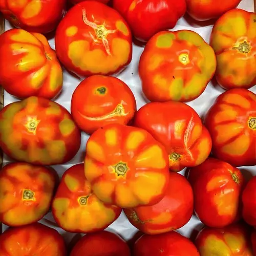Tomatoes at the farmers' market in Le Rouret