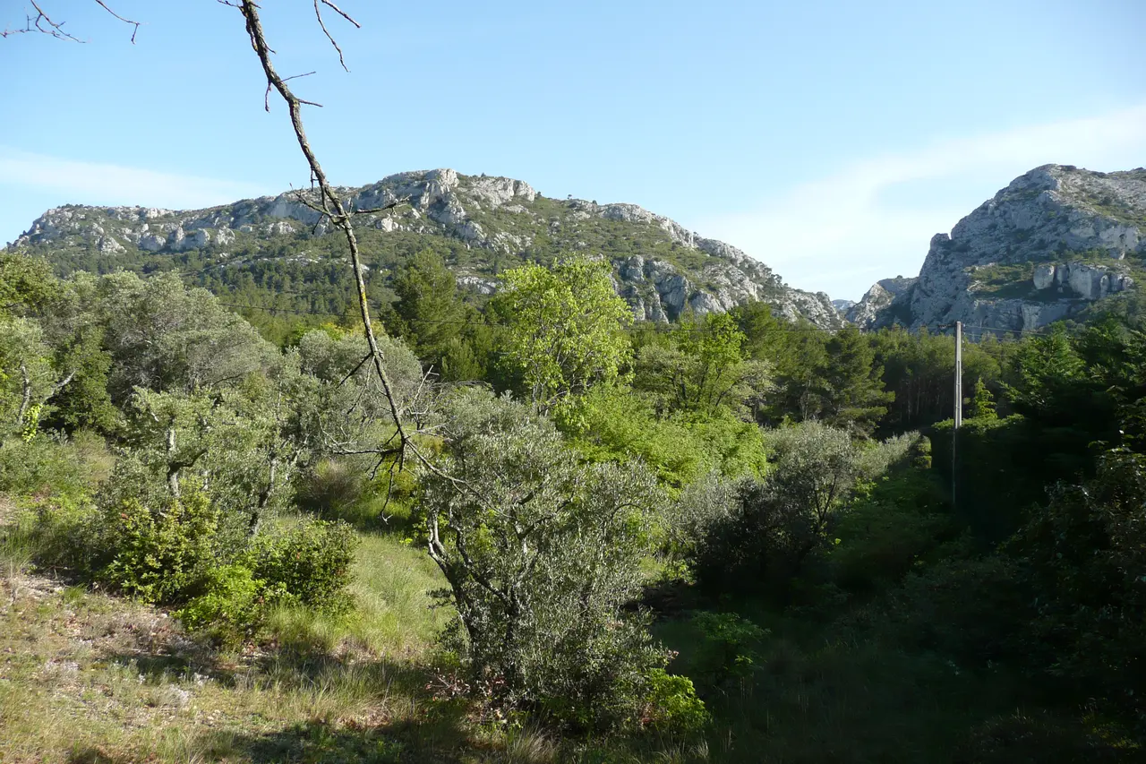 Les gorges de Régallon près Le Logis Neuf (Mérindol)
