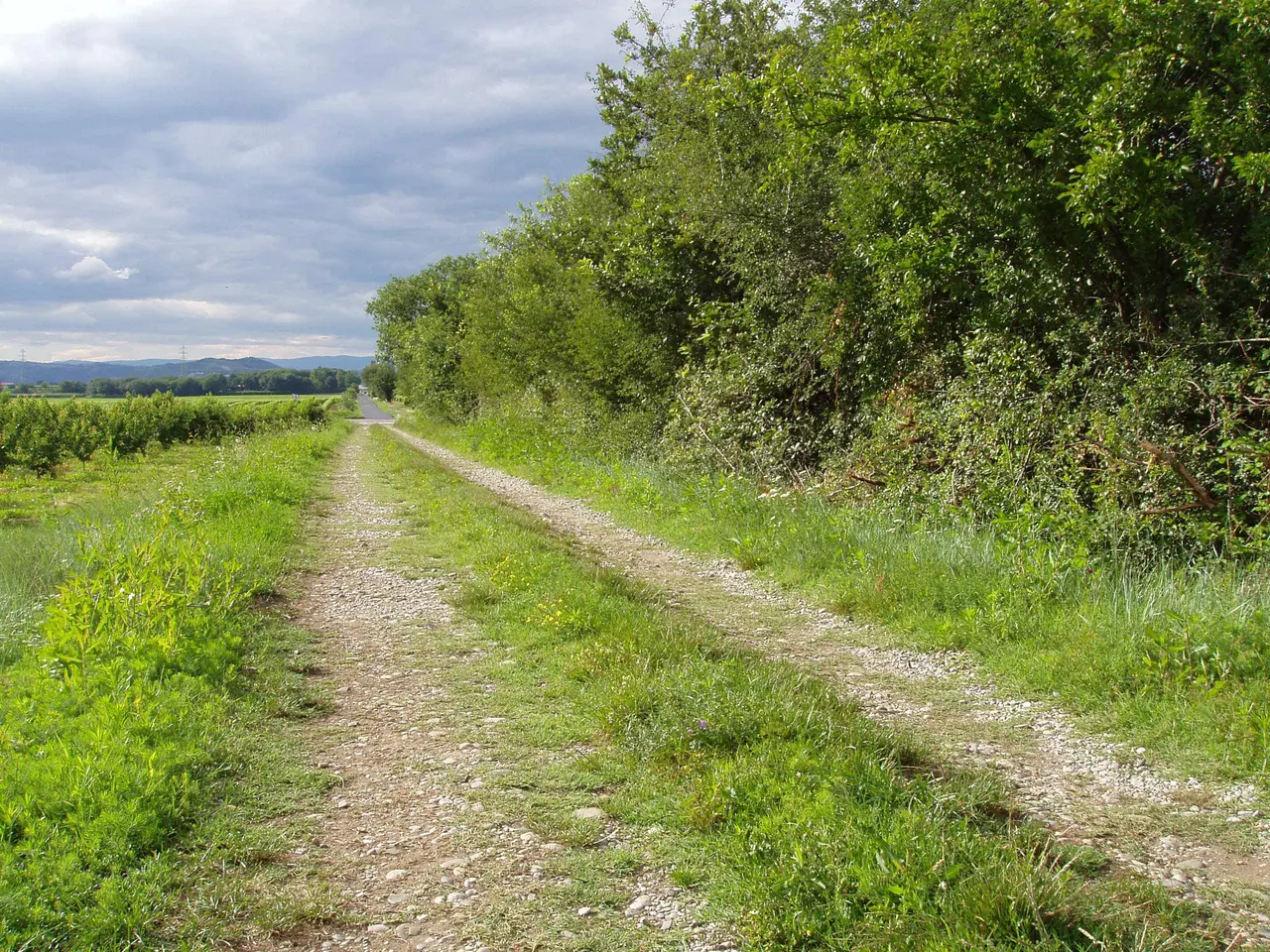 Via agrippa près de Beaumont-Monteux