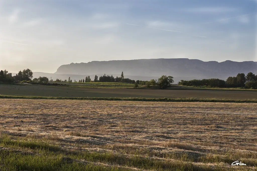 La provence vue de Peynier