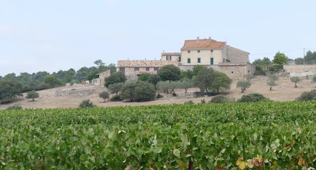 File:Château Saint-Marguerite-Pierrevert-P1950894.jpg