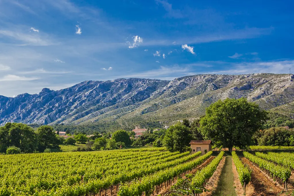 Puyloubier - Sentier des vignerons