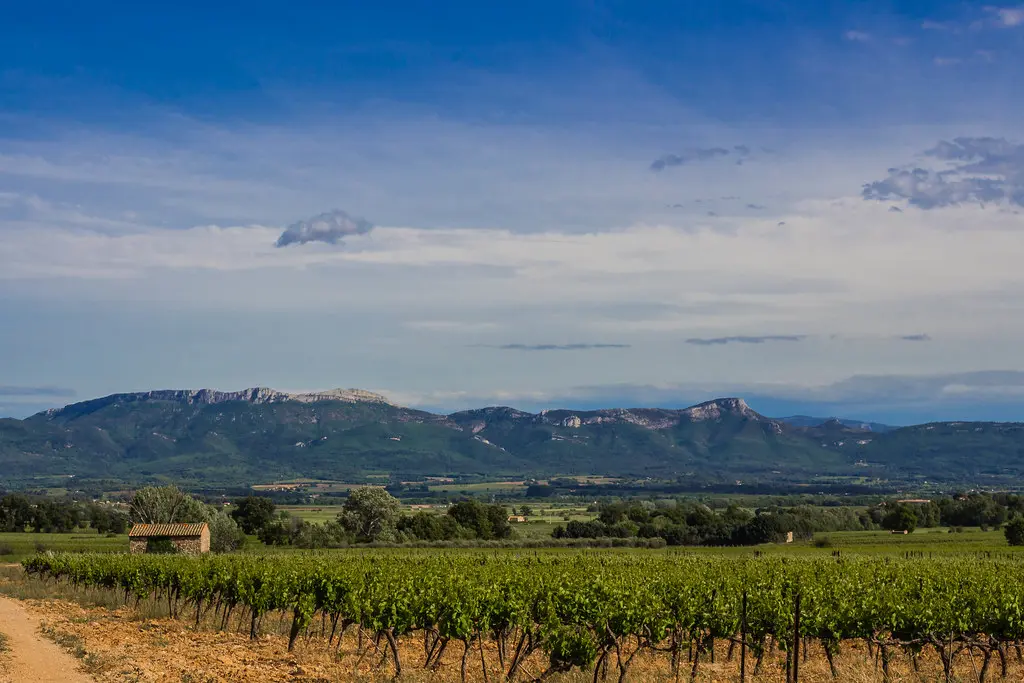 Puyloubier - Sentier des vignerons