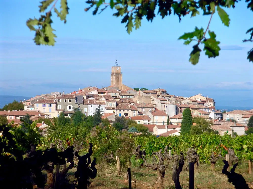 Vineyard in Sablet village, Vaucluse, France