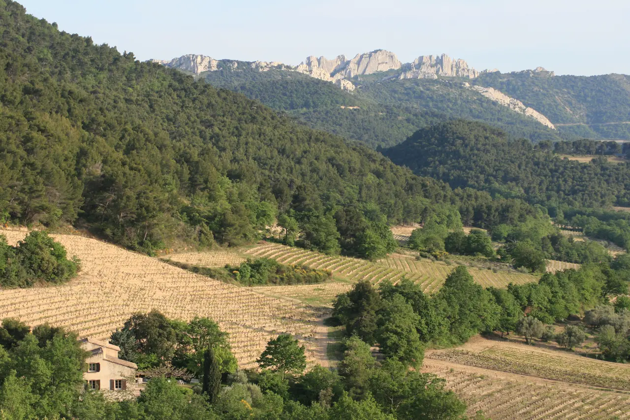 Cotes du Rhone Village Sablet (dentelles de Montmirail,FR84)