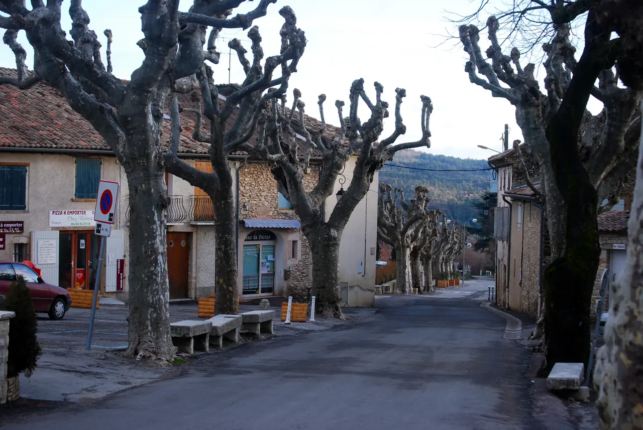 Saint-Étienne-les-Orgues et ses platanes
