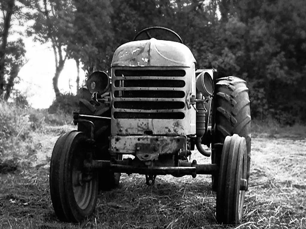 Like an old horse, I'm still working... (Trans-en-Provence France).