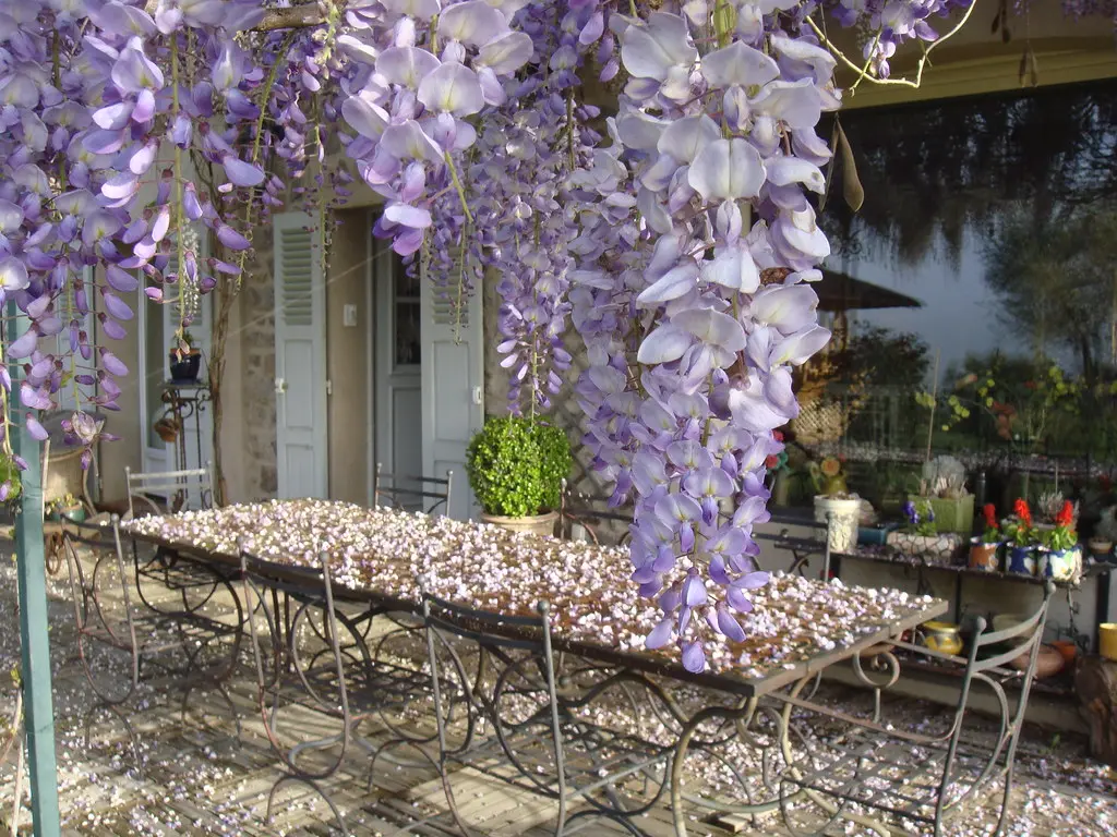 Provence-Alpes-Côte d'Azur, La Bastide d'Einesi, Vidauban, Var