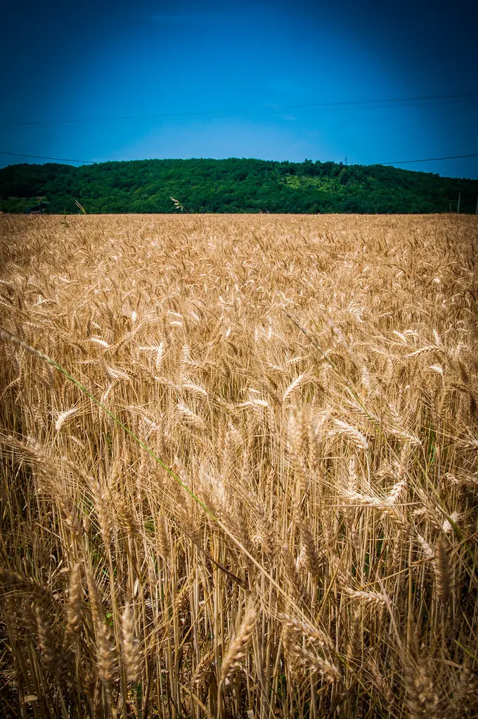 Landschap in Divajeu