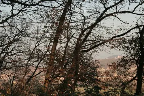 Clérieux et Saint-Bardoux derrière les arbres